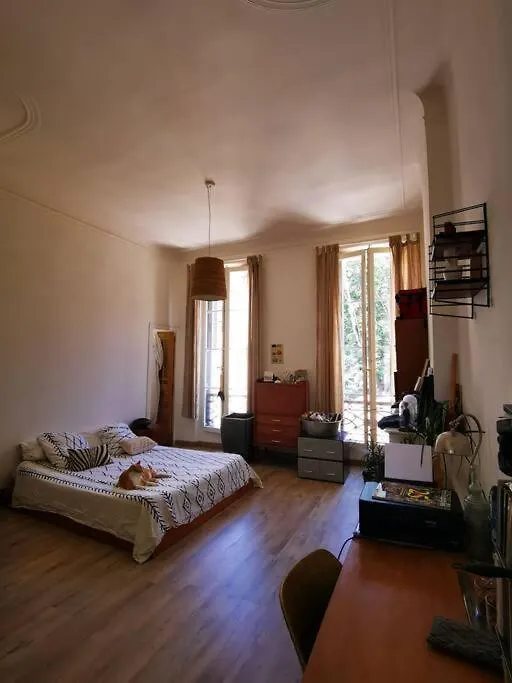 Apartment Marseille Appartement Spacieux Et Lumineux France